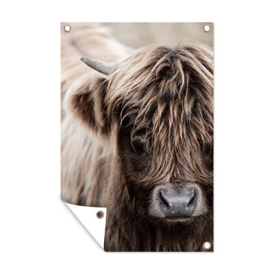 Tuinposter - 60x90 cm - Schotse Hooglander - Dieren - Hoorn