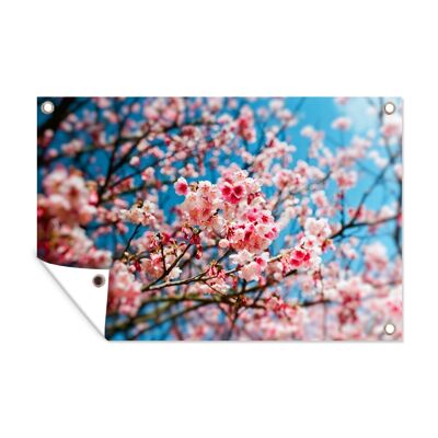 Tuinposter - 60x40 cm - Lente - Sakura - Roze