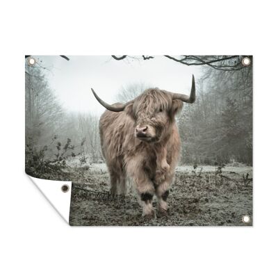 Tuinposter - 40x30 cm - Schotse Hooglander - Bos - Mist