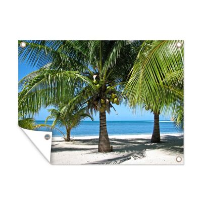 Tuinposter - 40x30 cm - Palmbomen en het parelwitte strand in Gloverâ€™s Reef