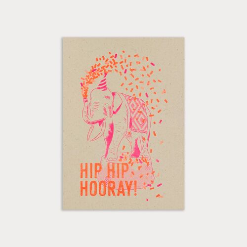 Postkarte / Hip Hip Hooray! / Ökopapier / Pflanzenfarbe
