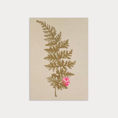 Postal / hoja con escarabajo / papel ecológico / tinte vegetal