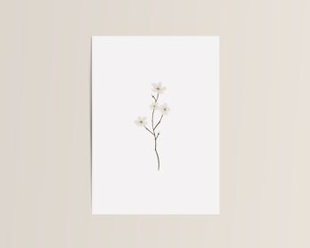 Carte Double Condoléances Branches Fleurs - Avec enveloppe 1