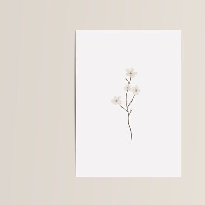 Carte Double Condoléances Branches Fleurs - Avec enveloppe