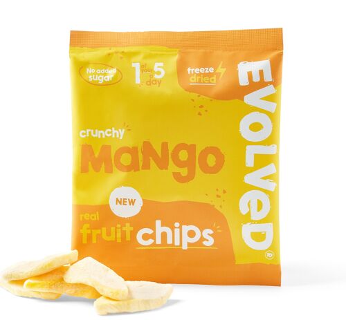 Evolved Fruit Snacks | Mango | 24 Packs