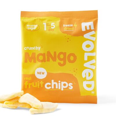 Entwickelte Fruchtsnacks | Mango | 24 Packungen