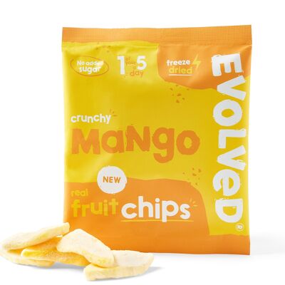 Evolved Fruit Snacks | Mango | 24 Packs