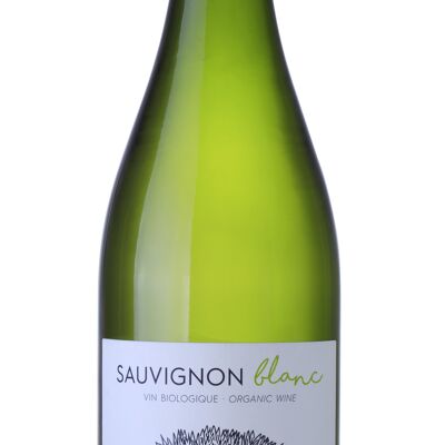 Sauvignon Riccio Biologico