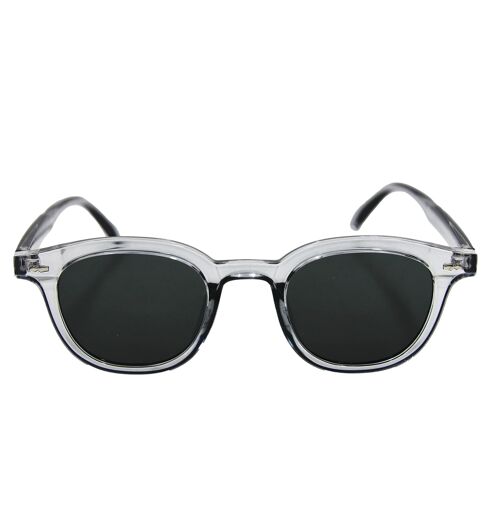 Clear Frame Sunglasses