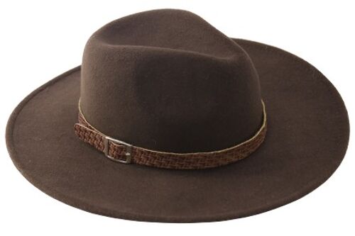 Brown Felt Fedora with woven band