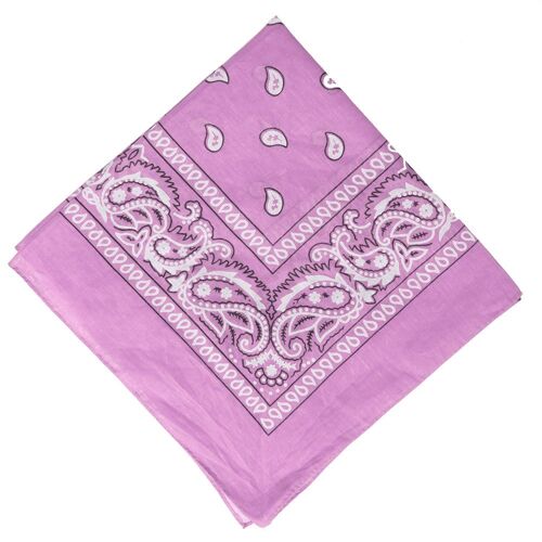 Light Pink Double Sided Paisley Cotton Bandana