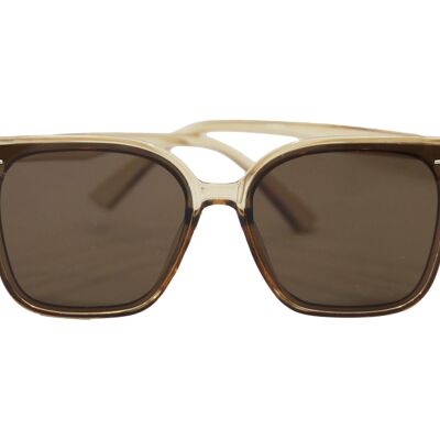 Brown Wayfarer Sunglasses