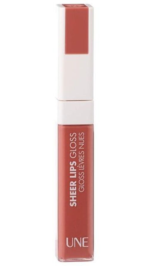 Bourjois UNE Natural Beauty Sheer Lip Gloss