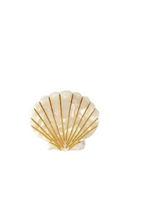 Cream Shell Hair Clip