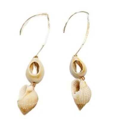 Gold SHELL EARRINGS