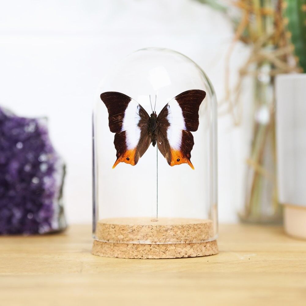 Palla Glocke mit violettem Band