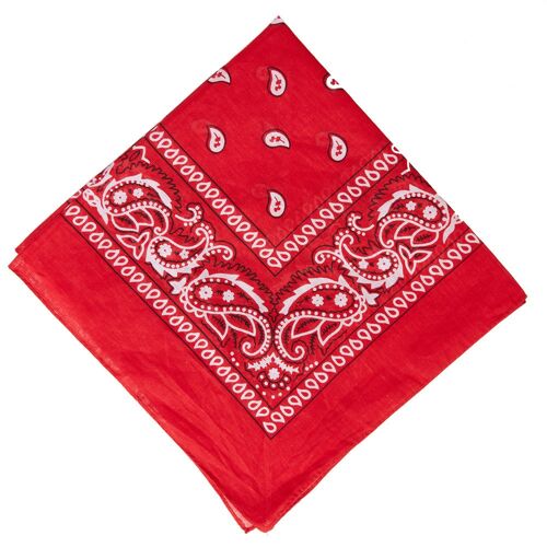 Red Double Sided Paisley Cotton Bandana