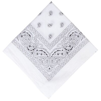 White Double Sided Paisley Bandana