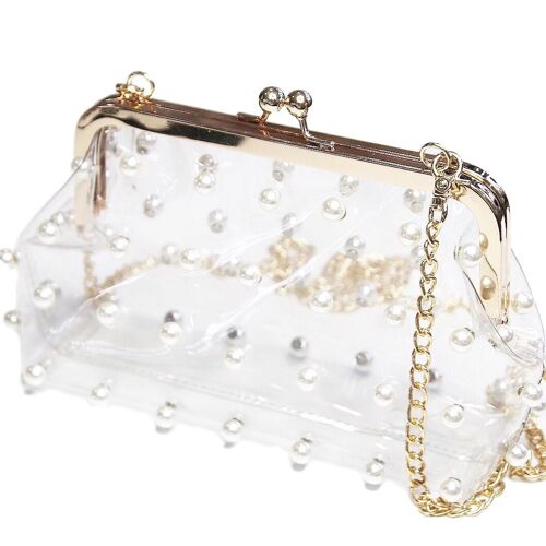 Clear Bag With Pearls