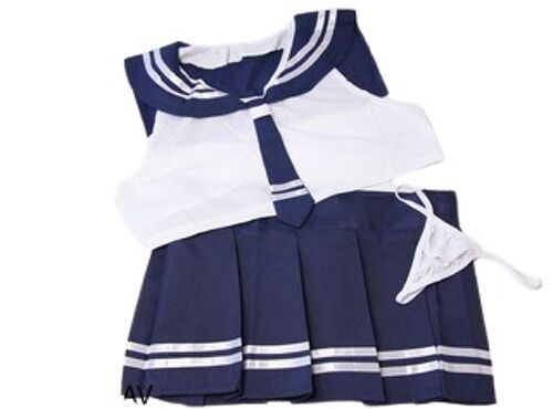 Sailor/Schoolgirl Costume