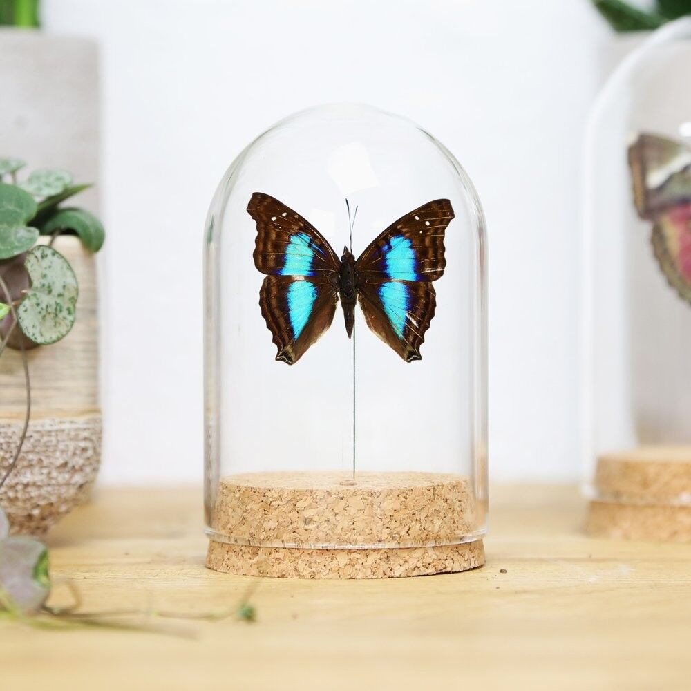 Glocke aus peruanischem Cyana