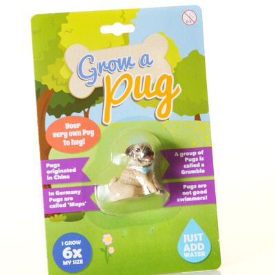 Grow a Pug