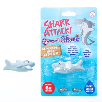 Grow a Shark