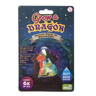 Grow a Dragon