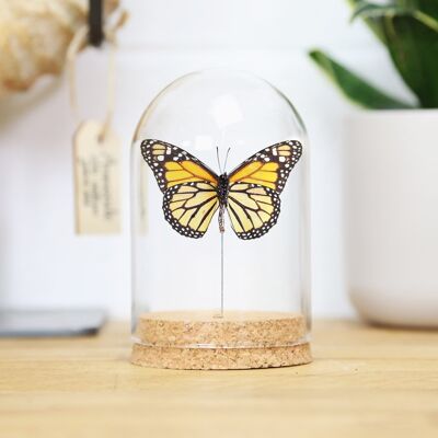 Monarch Bell Jar