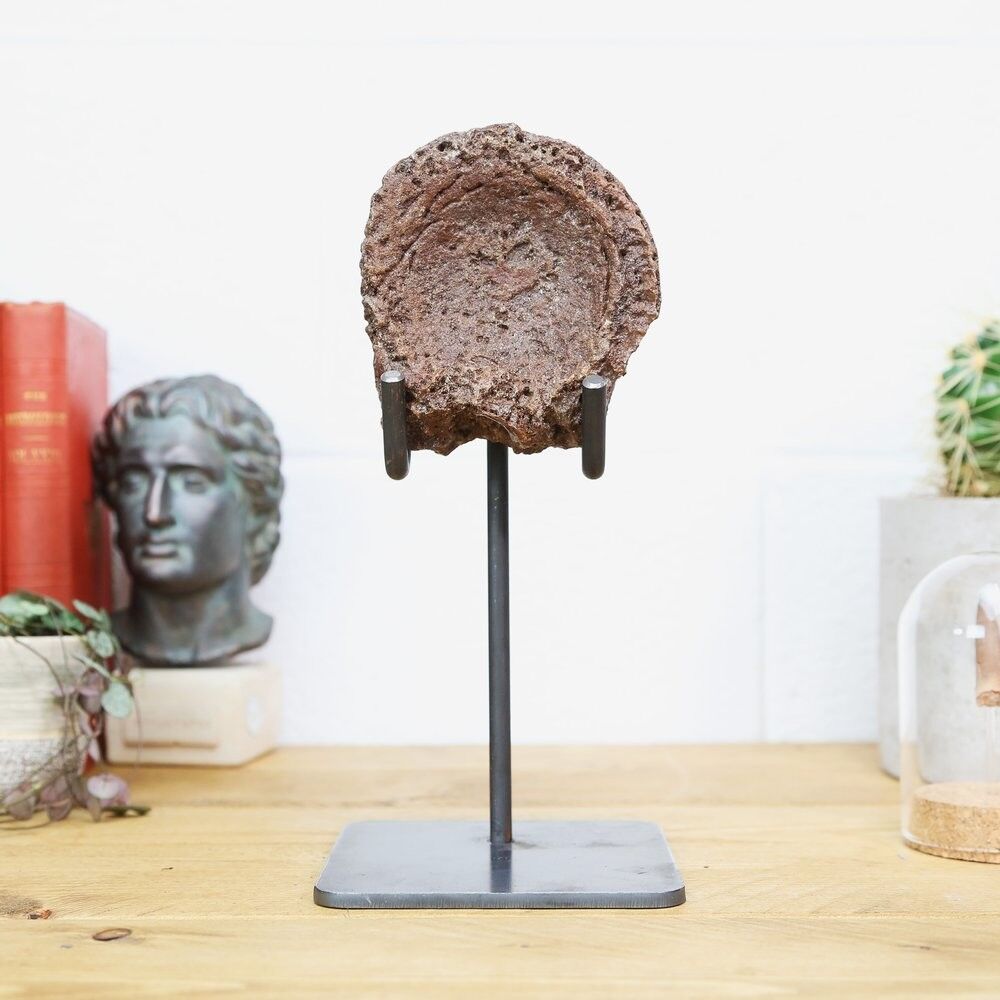 Itchyosaurier-Wirbelständer