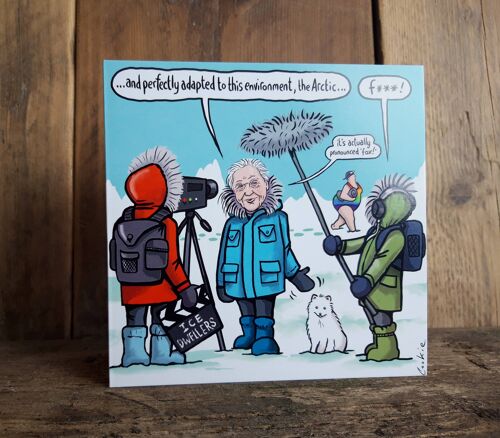 Greetings Cards | Kimmer Arctic Fox