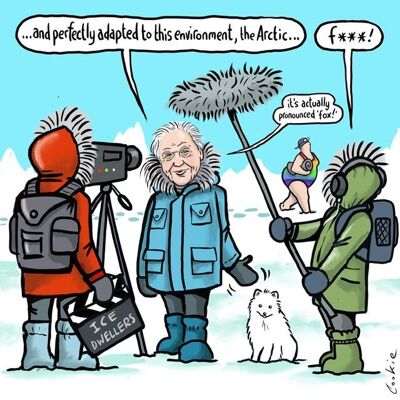 Flockers | Kimmer Arctic Fox | Biglietti d'auguri vuoti (147 x 147 cm)