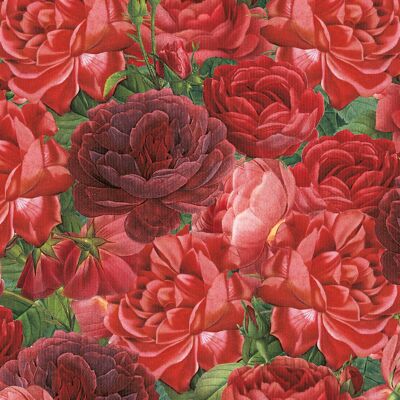 Rosa rosa Servilleta 33x33
