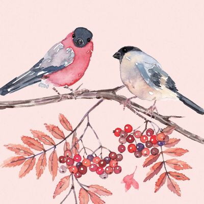 Joy Birds Napkin 33x33