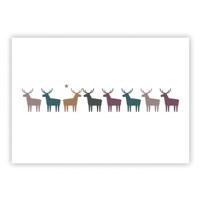 Carte Postale Deers purs