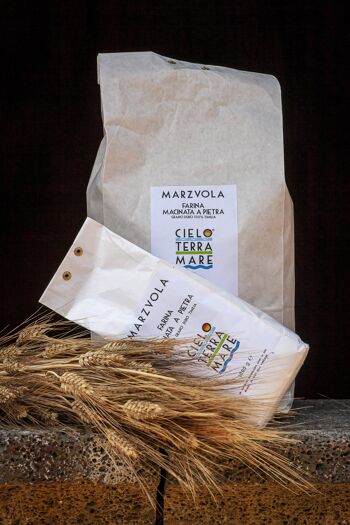 Farine de blé dur sicilienne ancienne, moulue sur pierre, de la variété biologique Timilia 1
