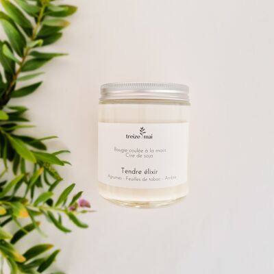 Bougie Tendre élixir - Agrumes | Feuilles de tabac | Ambre - 400g