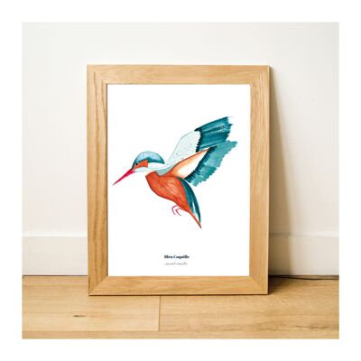 Stationery Decorative Poster - 30 x 40 cm - The Kingfisher