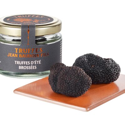 Brushed summer truffles (Tuber aestivum)