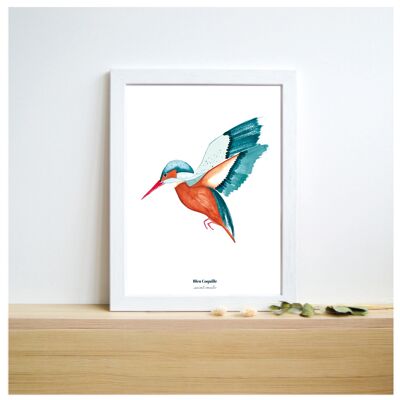 Schreibwaren Dekoratives Poster - 21 x 29,7 cm - Der Eisvogel