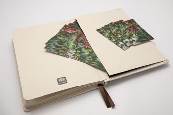 BOX A5 NATURAL NOTEBOOK „CALIMA NATURAL NOTEBOOK“ DOTTED 24 UN BOX mit 120 (112 nummerierten) Seiten und 90 g/m2 Blättern 9