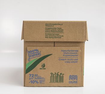 CALIMA NATURAL - PALETTE A4 KOPIERPAPIER NATUR 48 Schachteln (5 Packungen pro Schachtel) -insgesamt 240 x 500 Blattpackungen- 9