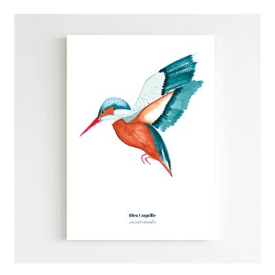 Stationery Dekoratives Poster - 14,8 x 21 cm - Der Eisvogel