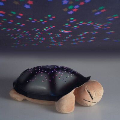Star Ladybug - Illumination Sensory Toy
