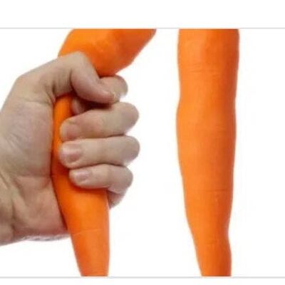 Stretchy Carrot