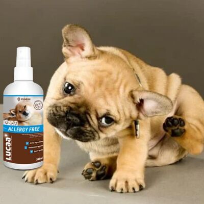 LUCAA+ Pet Probiotic Allergy-Free - 300ml Spray
