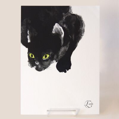 Chat - carte A5 14,8x21cm -