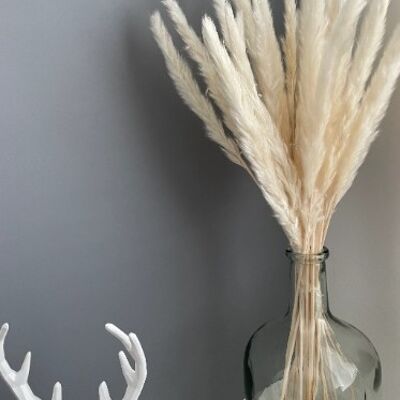 Mini White Fluffy Pampas Grass Bunch | Dried Pampas Grass