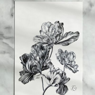 Tulipine - carte A5 14,5x21cm -