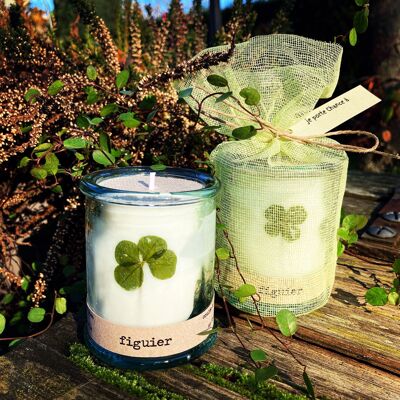 Fig Tree Clover Candle